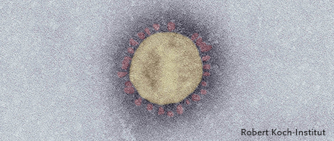 COVID-19 (Coronavirus SARS-CoV-2)